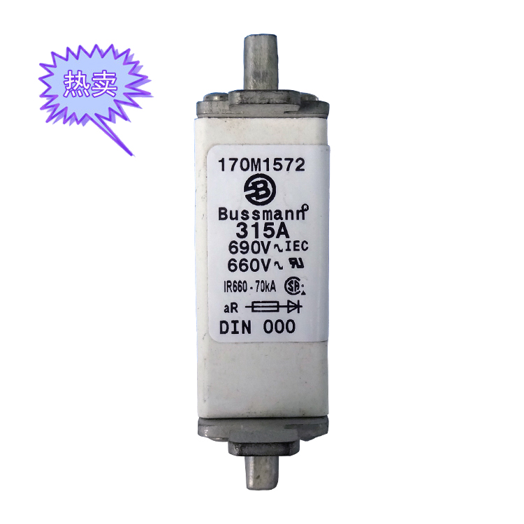 快速熔斷器170M1572（315A）